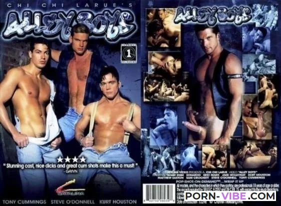 Alley Boys [Catalina Video, Channel 1 Releasing] DVDRip